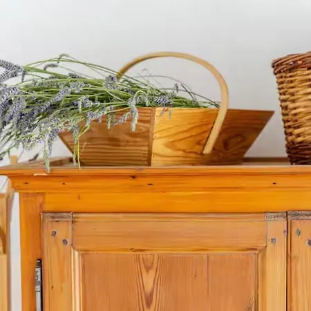 Le Cozy Maupas Semesterbostad