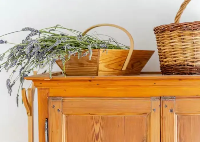 Le Cozy Maupas 度假居